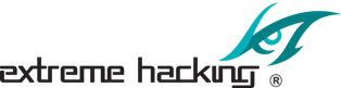 Best Institute for CEH|Extreme Hacking|Sadik Shaikh|Certified Ethical Hacker|CEH V12|ECSA|LPT|ETHICAL HACKING Training in India-Pune